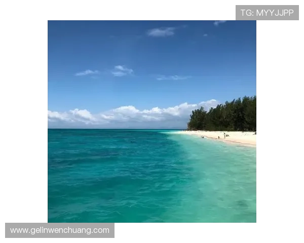 沙巴官网：获取沙巴最新政策信息和旅游安全指南的官方门户