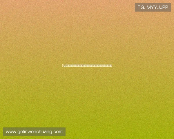 5g智能电网白皮书为智能电网安全保障提供技术支撑与风险控制的最佳实践